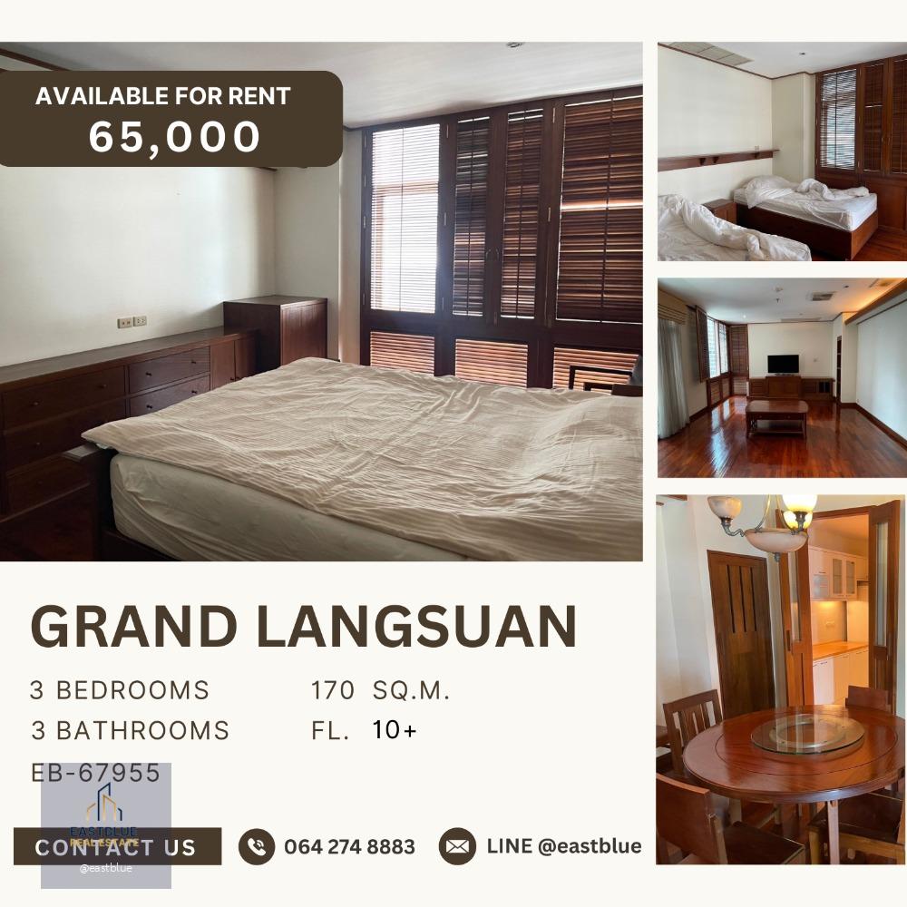 Pet-Friendly Grand Langsuan Spacious 3-Bedroom 170 sqm 65,000 THB per month