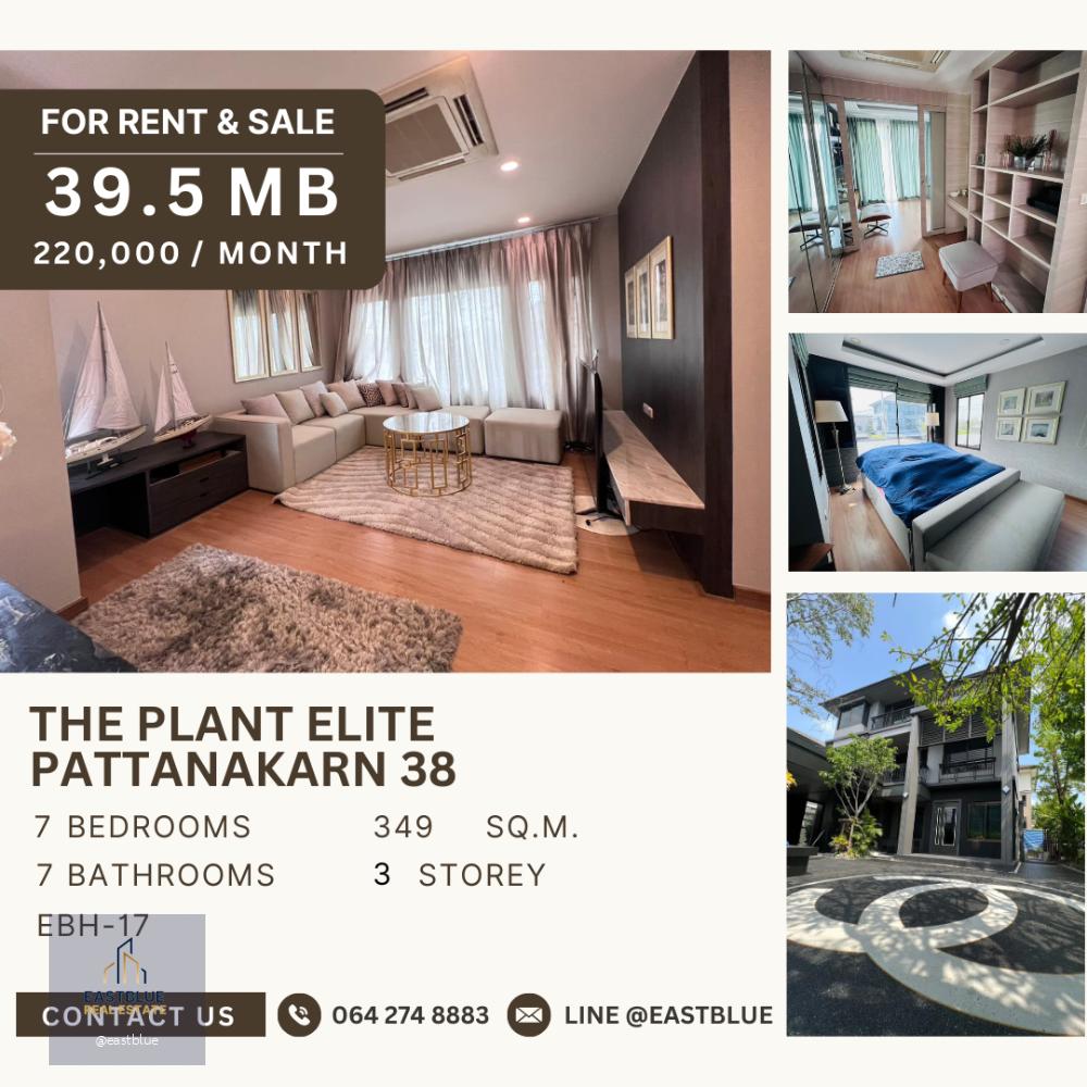 For Rent & Sale - The Plant Elite Pattanakarn 38, 39 MB, 064-274-8883