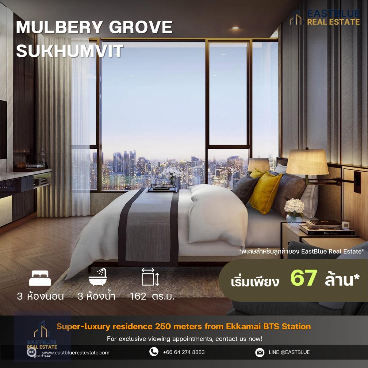 Mulbery Grove Sukhumvit โครงการ luxury ติดถนนใหญ่สุขุมวิท ห่างจาก BTS เพียง 270 เมตร 3 ห้องนอนห้องใหญ่ 162 ตรม