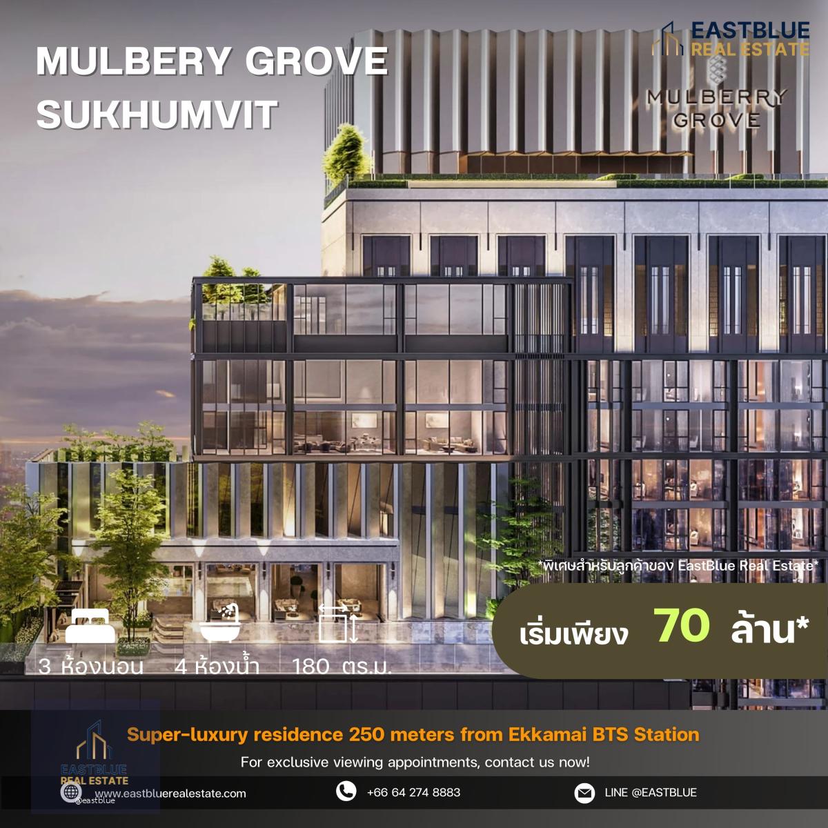 Mulbery Grove Sukhumvit โครงการ luxury ติดถนนใหญ่สุขุมวิท ห่างจาก BTS เพียง 270 เมตร ห้อง Penthouse กว้าง 180 ตรม