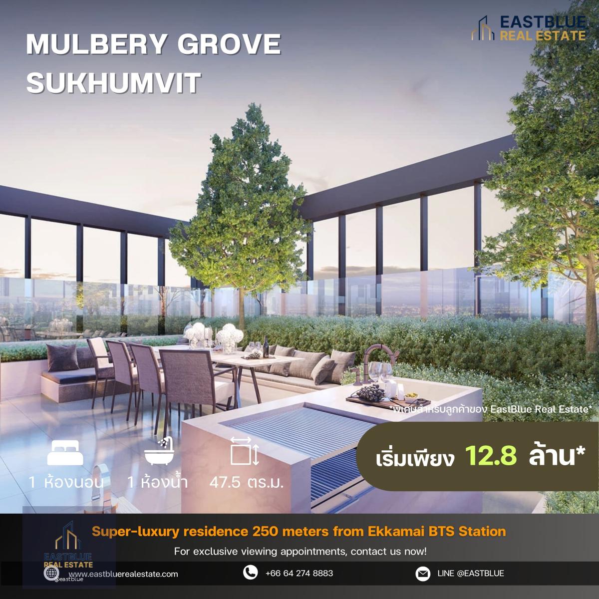 Mulbery Grove Sukhumvit โครงการ luxury ติดถนนใหญ่สุขุมวิท ห่างจาก BTS เพียง 270 เมตร 1 ห้องนอน เริ่มต้นเพียง 12.8 ลบ.