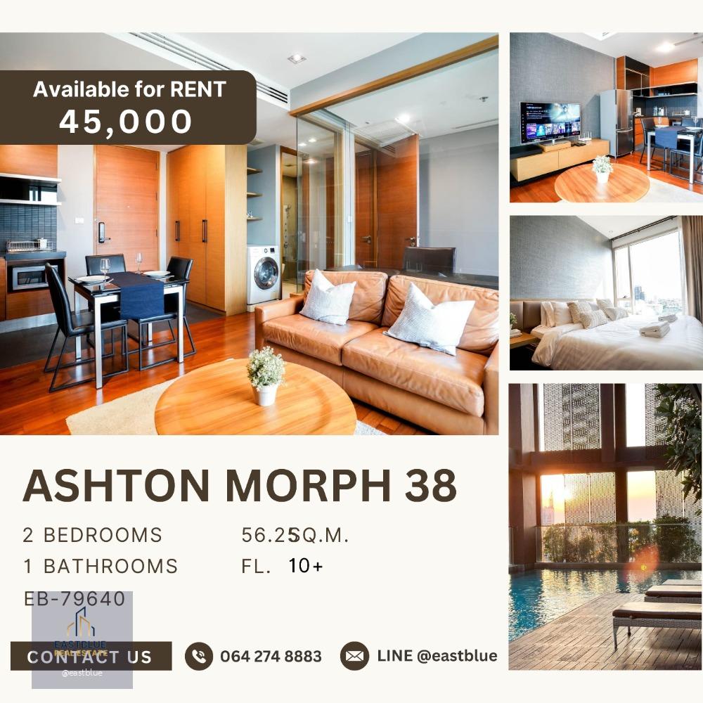 Pet-Friendly Ashton Morph 38 2 Beds 45k per month