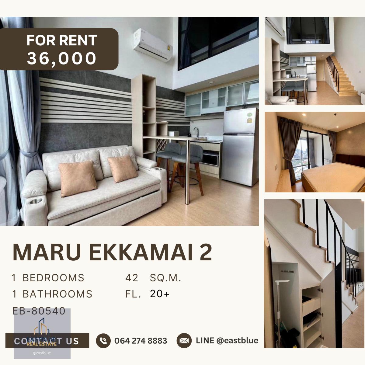 Maru Ekkamai 2, 1 bed, 36000 per month