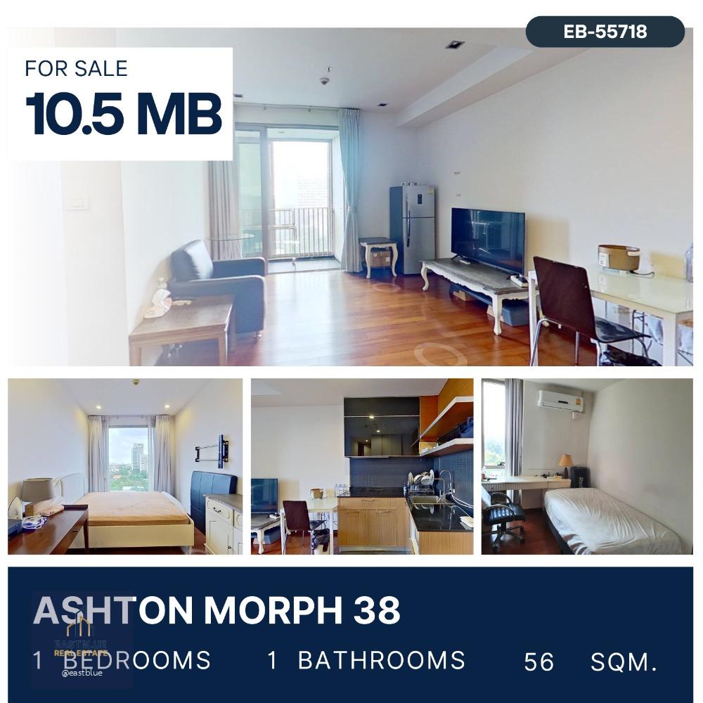 Ashton Morph 38 Pet-Friendly for sale 10.5 MB